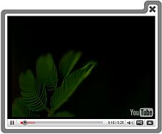 Www Shome Video And Automatic Download Jquery Video Player